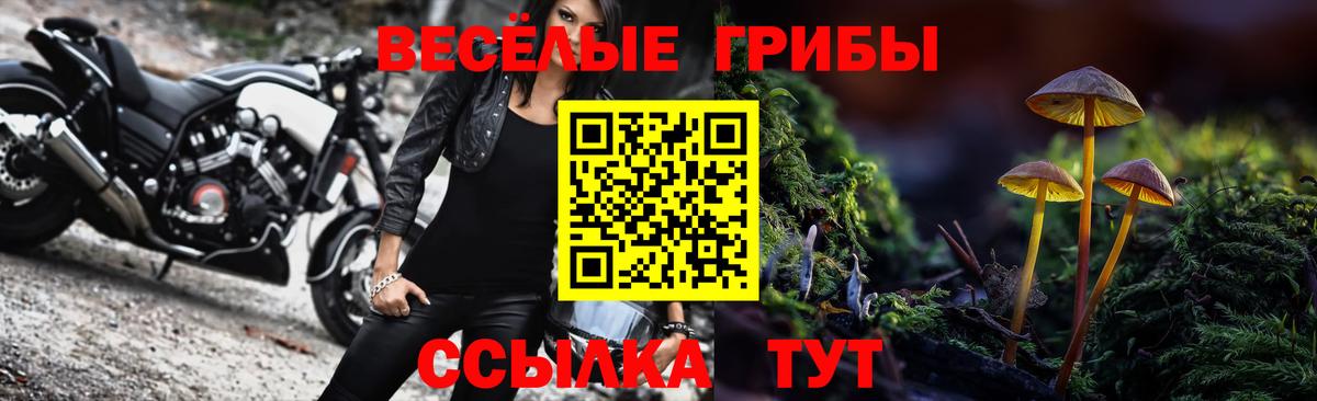 Галлюциногенные грибы мухоморы  Галлюциногенные грибы Cubensis  Вход с VPN  Среднеуральск 